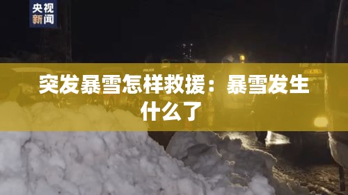 突发暴雪怎样救援：暴雪发生什么了 