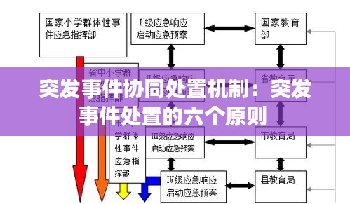 突发事件协同处置机制：突发事件处置的六个原则 