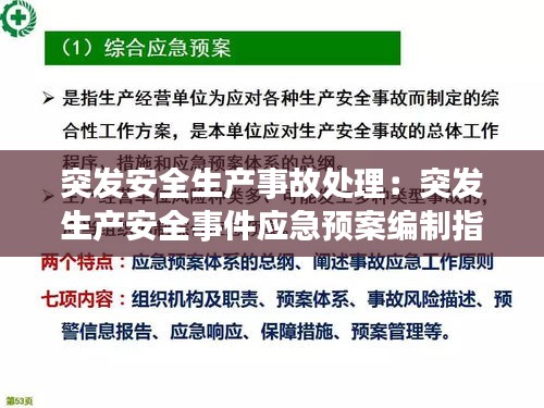 突发安全生产事故处理：突发生产安全事件应急预案编制指南 