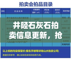 井陉石灰石拍卖信息更新，抢拍良机，不容错过！