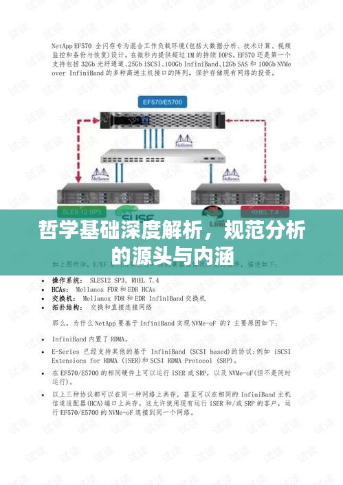 哲学基础深度解析，规范分析的源头与内涵