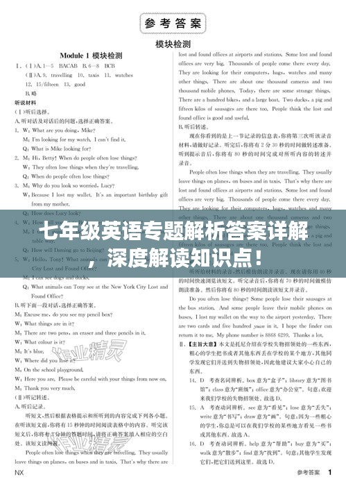 七年级英语专题解析答案详解，深度解读知识点！