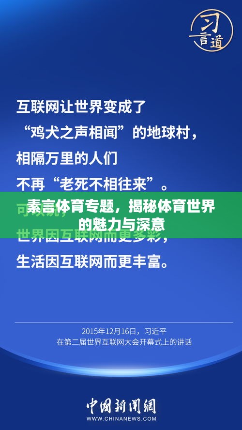 素言体育专题，揭秘体育世界的魅力与深意