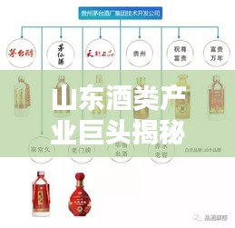 山东酒类产业巨头揭秘，十大酒厂排名及影响力解析