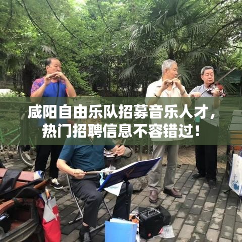 咸阳自由乐队招募音乐人才，热门招聘信息不容错过！