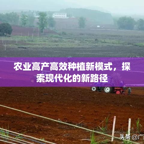 农业高产高效种植新模式，探索现代化的新路径