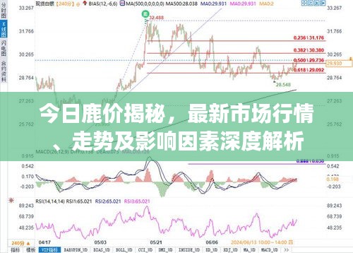 今日鹿价揭秘，最新市场行情、走势及影响因素深度解析