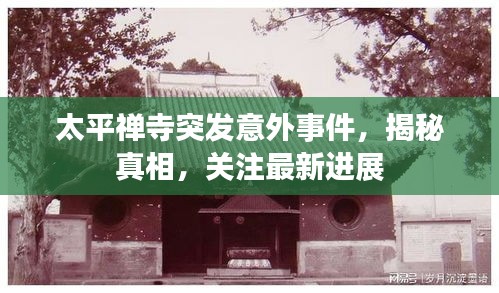 太平禅寺突发意外事件，揭秘真相，关注最新进展