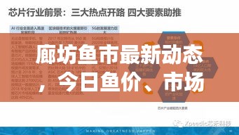 廊坊鱼市最新动态，今日鱼价、市场走势及影响因素深度解析