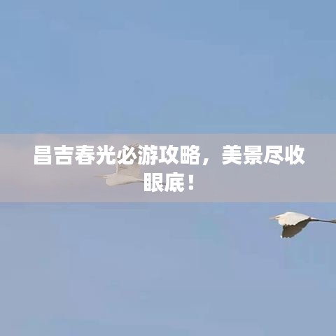 昌吉春光必游攻略，美景尽收眼底！