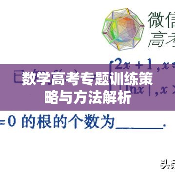 数学高考专题训练策略与方法解析