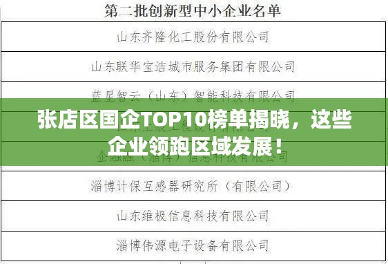 张店区国企TOP10榜单揭晓，这些企业领跑区域发展！