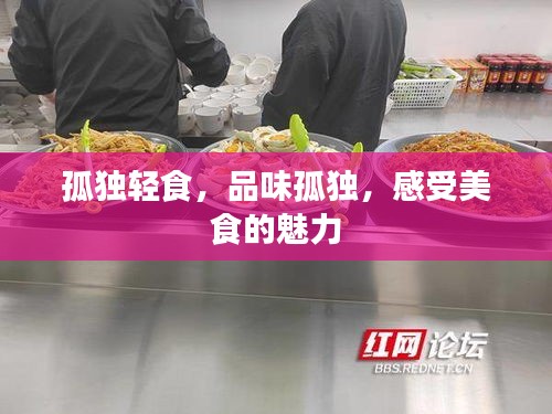 孤独轻食，品味孤独，感受美食的魅力