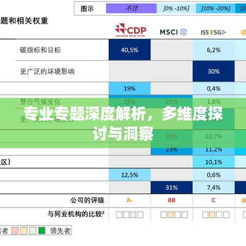 专业专题深度解析，多维度探讨与洞察