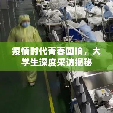 疫情时代青春回响，大学生深度采访揭秘