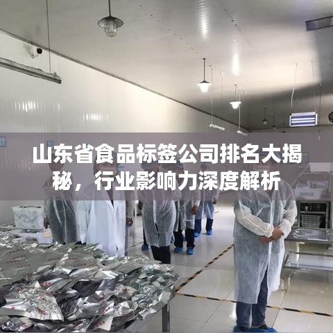 山东省食品标签公司排名大揭秘，行业影响力深度解析