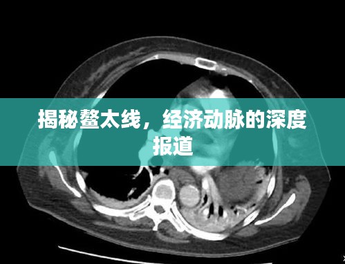 揭秘鳌太线，经济动脉的深度报道