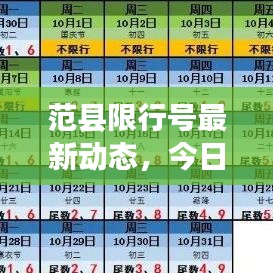 范县限行号最新动态，今日实施细节全解析