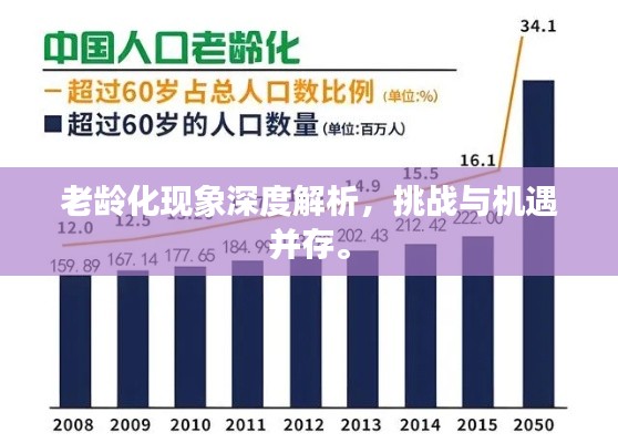 老龄化现象深度解析，挑战与机遇并存。