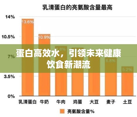 蛋白高效水，引领未来健康饮食新潮流