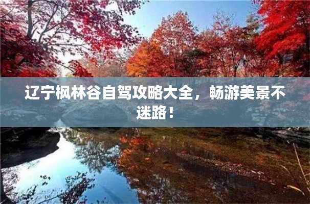 辽宁枫林谷自驾攻略大全，畅游美景不迷路！