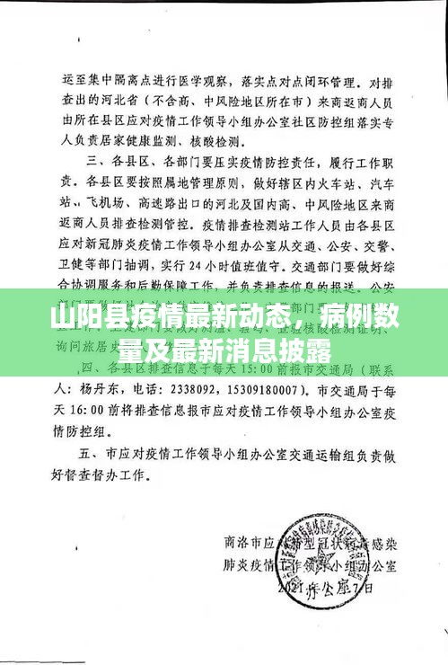 山阳县疫情最新动态，病例数量及最新消息披露