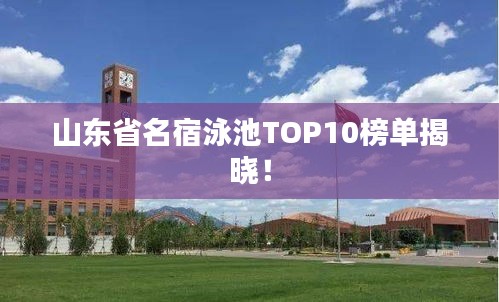 山东省名宿泳池TOP10榜单揭晓！