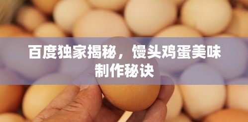 百度独家揭秘，馒头鸡蛋美味制作秘诀