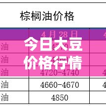 今日大豆价格行情深度解析