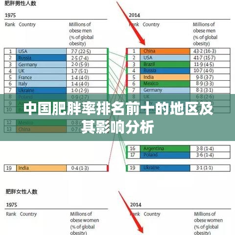 中国肥胖率排名前十的地区及其影响分析