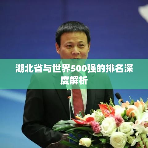 湖北省与世界500强的排名深度解析