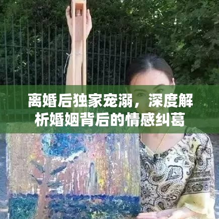 离婚后独家宠溺，深度解析婚姻背后的情感纠葛