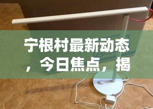 宁根村最新动态，今日焦点，揭秘最新消息