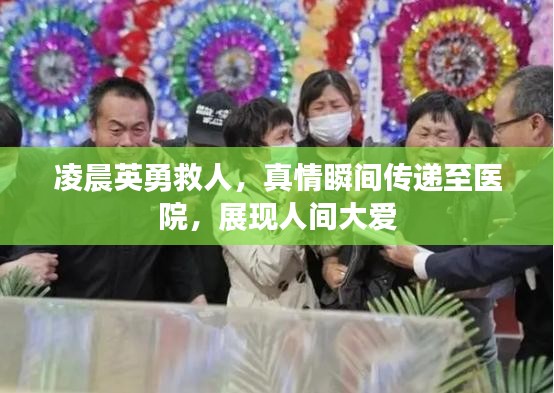 凌晨英勇救人，真情瞬间传递至医院，展现人间大爱