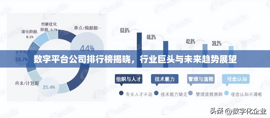 数字平台公司排行榜揭晓，行业巨头与未来趋势展望