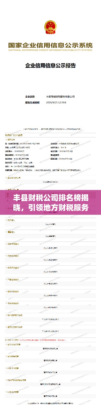 丰县财税公司排名榜揭晓，引领地方财税服务行业的佼佼者
