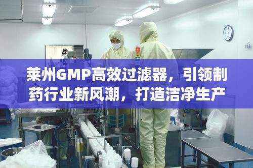 莱州GMP高效过滤器，引领制药行业新风潮，打造洁净生产新标杆