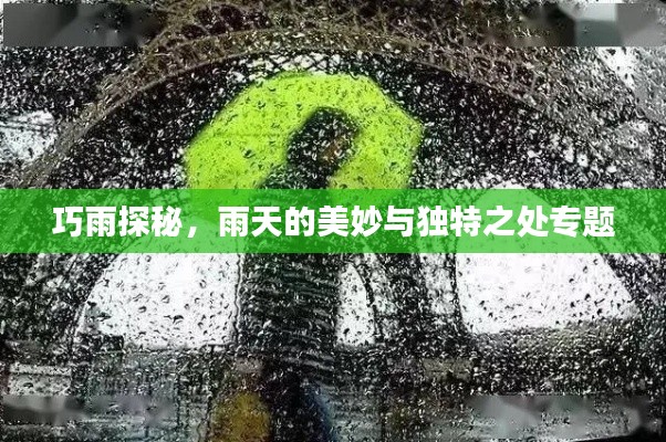 巧雨探秘，雨天的美妙与独特之处专题