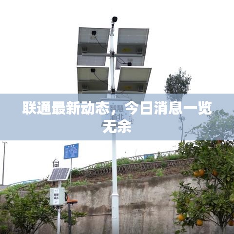 联通最新动态，今日消息一览无余