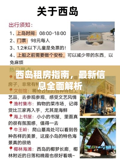 西岛租房指南，最新信息全面解析