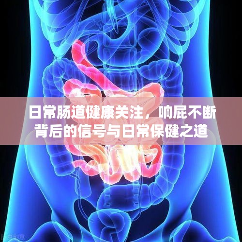 日常肠道健康关注，响屁不断背后的信号与日常保健之道