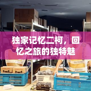 独家记忆二柯，回忆之旅的独特魅力