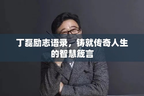 丁磊励志语录，铸就传奇人生的智慧箴言