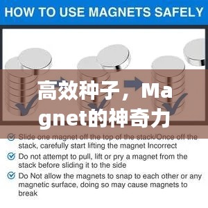 高效种子，Magnet的神奇力量揭秘