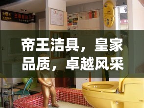 帝王洁具，皇家品质，卓越风采，尽展豪华魅力