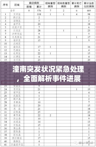 潼南突发状况紧急处理，全面解析事件进展