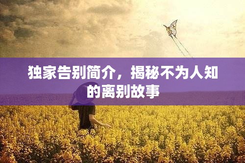 独家告别简介，揭秘不为人知的离别故事