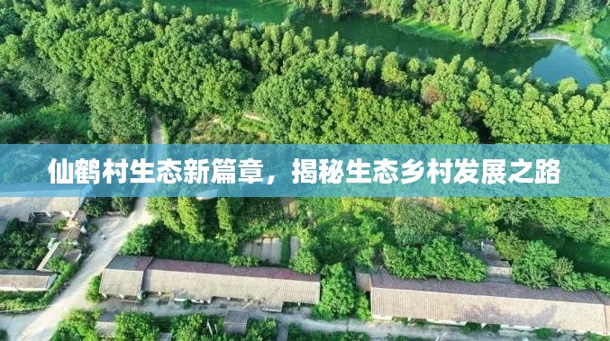 仙鹤村生态新篇章，揭秘生态乡村发展之路