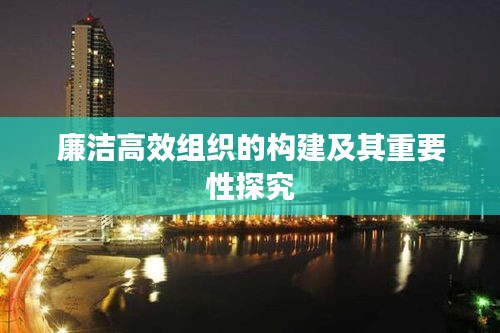 廉洁高效组织的构建及其重要性探究