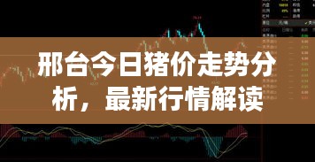 邢台今日猪价走势分析，最新行情解读